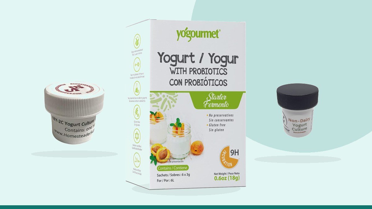 Best greek yogurt starter culture – Yogourmet Probiotic Yogurt, Freeze-Dried starter, 1oz