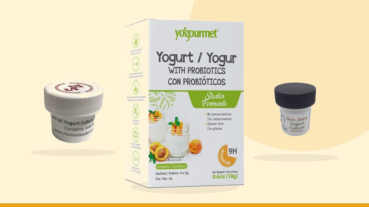 Best yogurt starter culture – Yogourmet Probiotic Yogurt, Freeze-Dried starter, 1oz